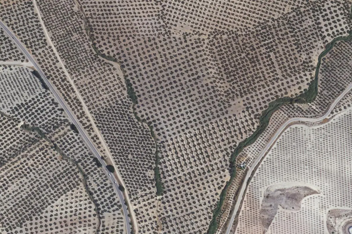 Foto aérea de la zona de Cerro Zalema