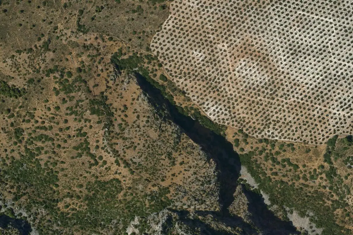 Aerial photo of the Cuevas negras area