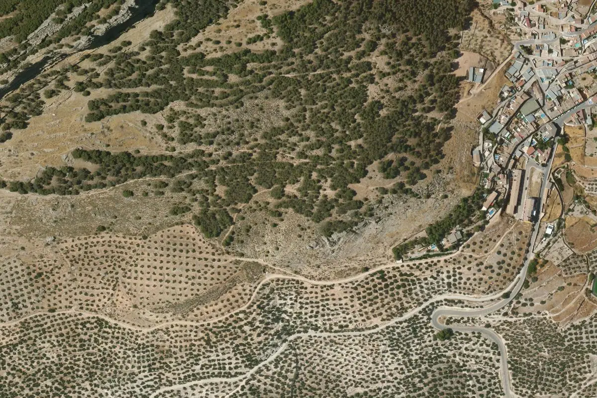 Foto aérea de la zona de Pegalajar