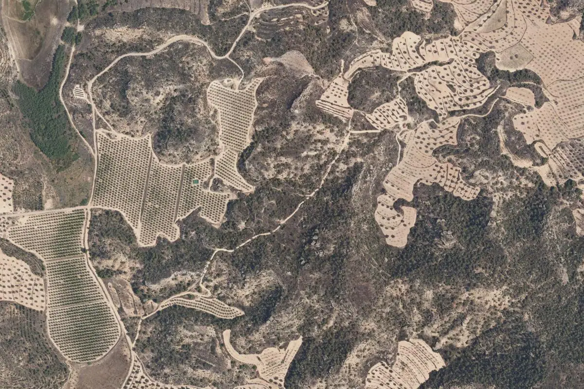 Aerial photo of the Alcañiz · Treehouse area