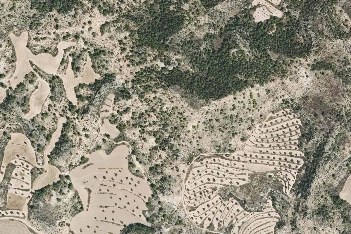 Foto aérea de la zona de Cabezo Gordo