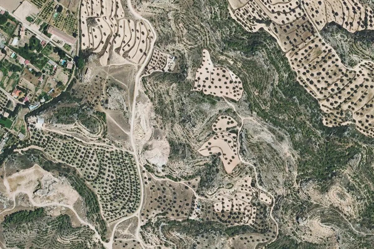 Aerial photo of the Encarnation area