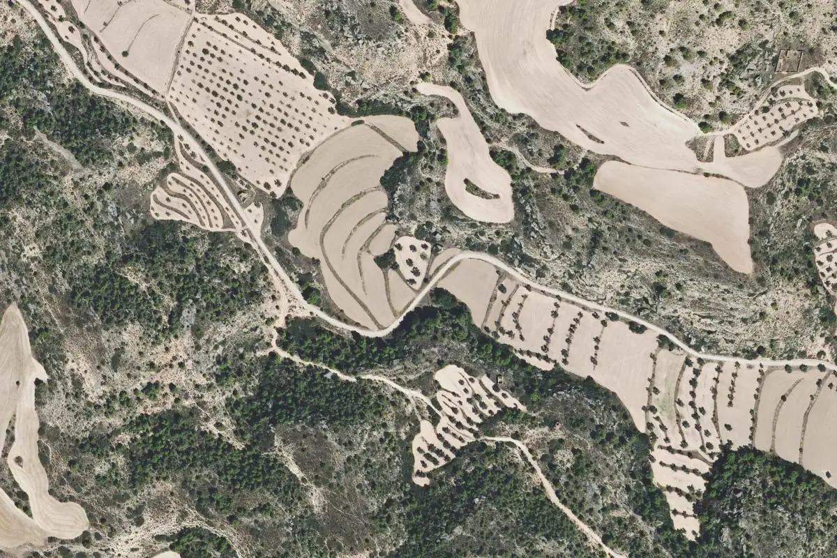 Aerial photo of the Family area
