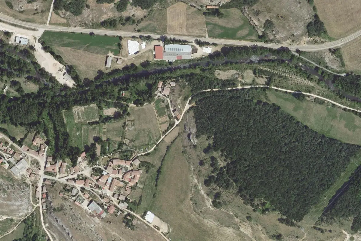 Aerial photo of the Vado area