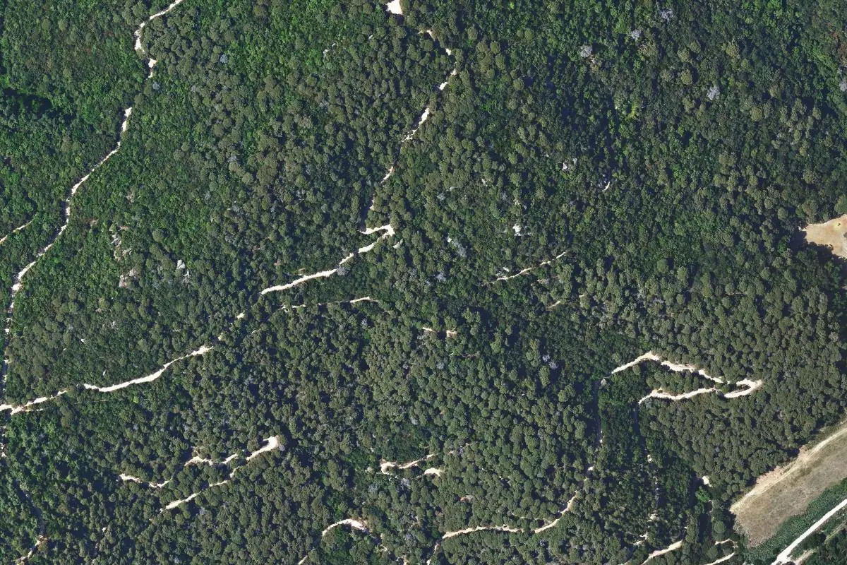 Aerial photo of the Can Bruguera area