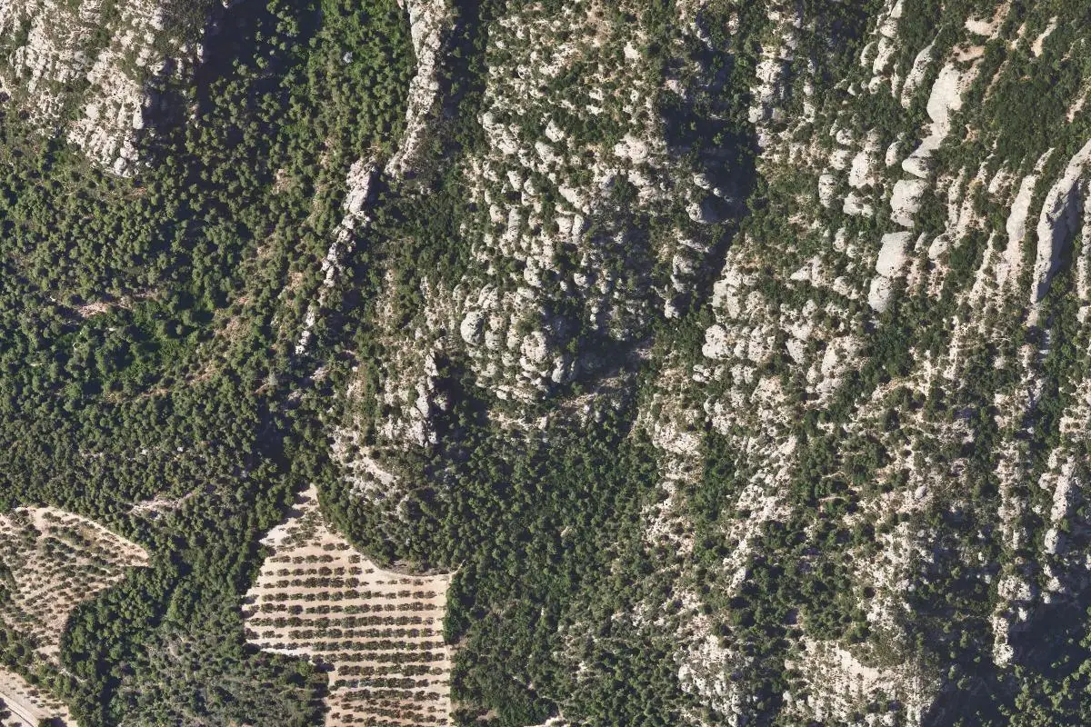 Foto aérea de la zona de El faraó de baix