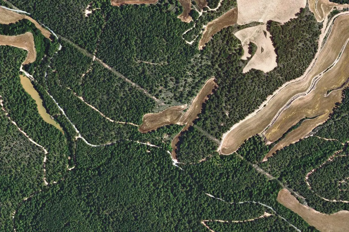 Foto aérea de la zona de Vinya nova · La Palomera