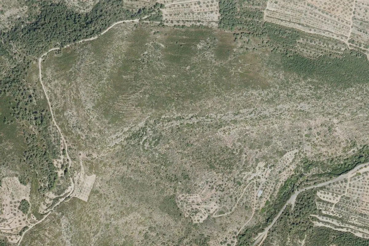 Aerial photo of the Altura area