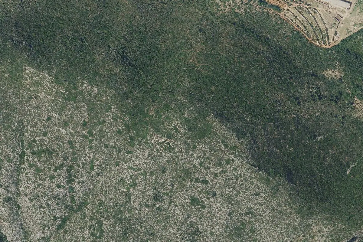 Foto aérea de la zona de Penya Roc