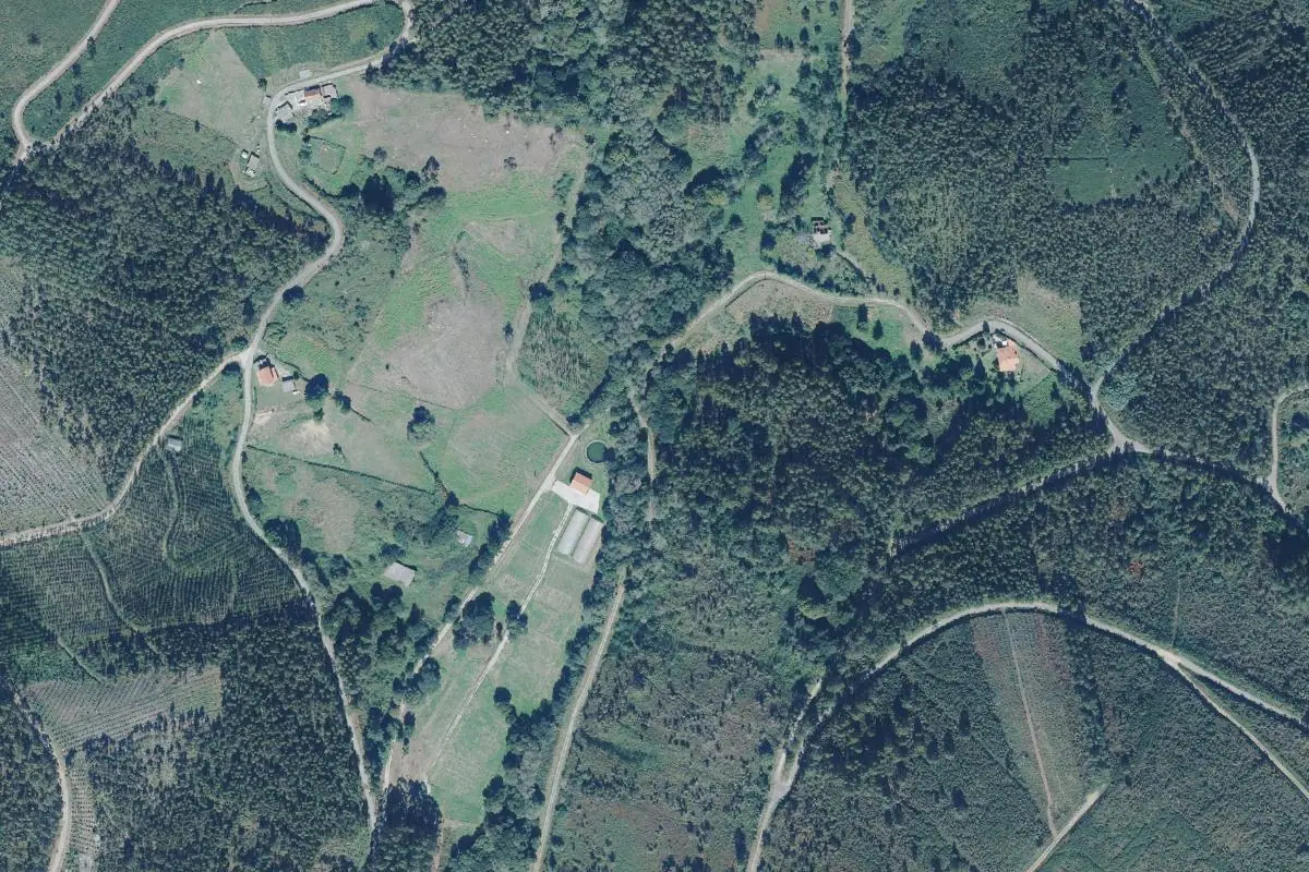 Aerial photo of the A Calliqueira area