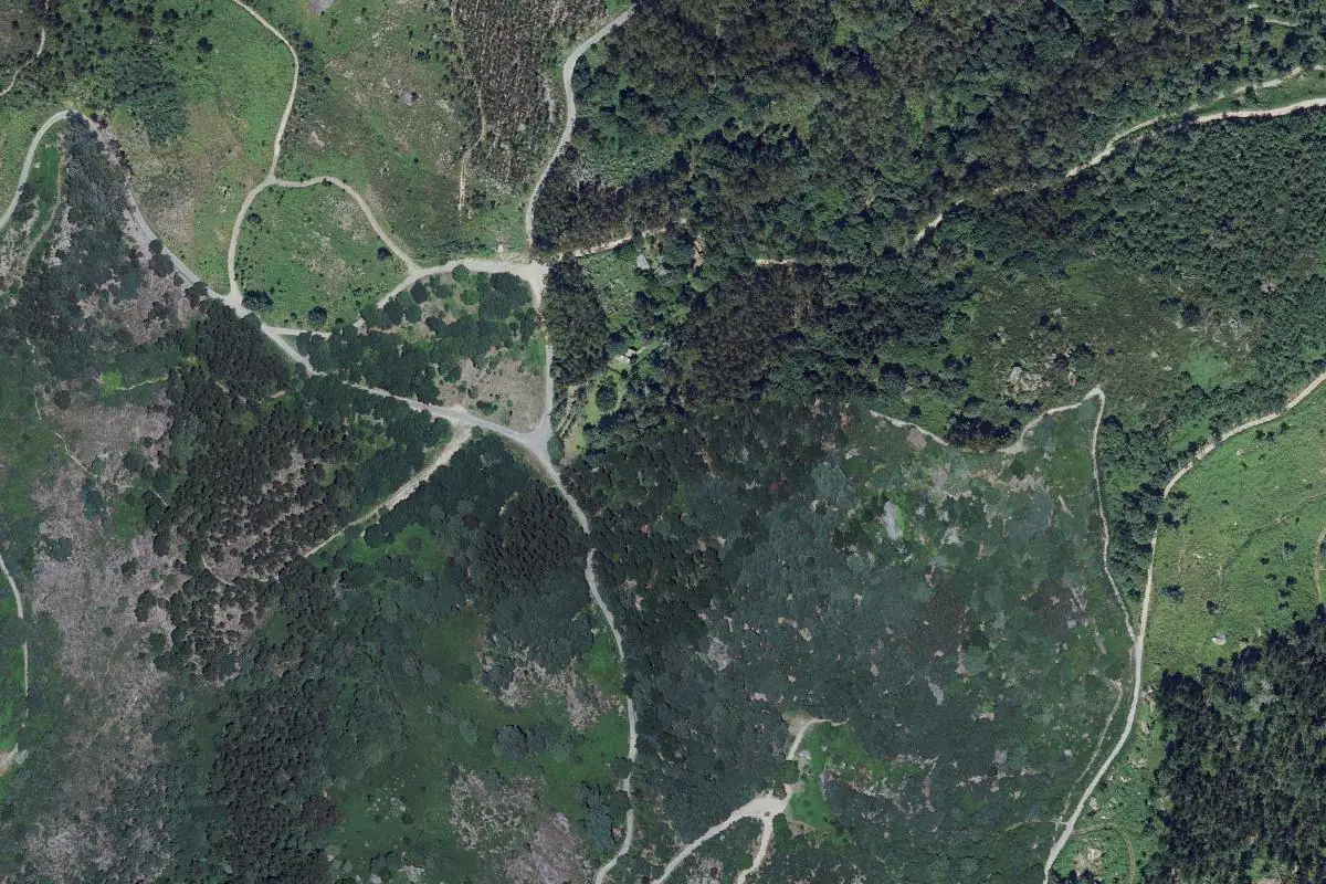 Aerial photo of the A Picaraña area