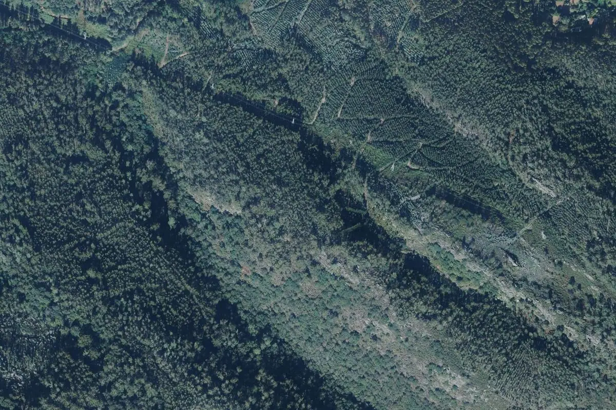Foto aérea de la zona de Forgoselo