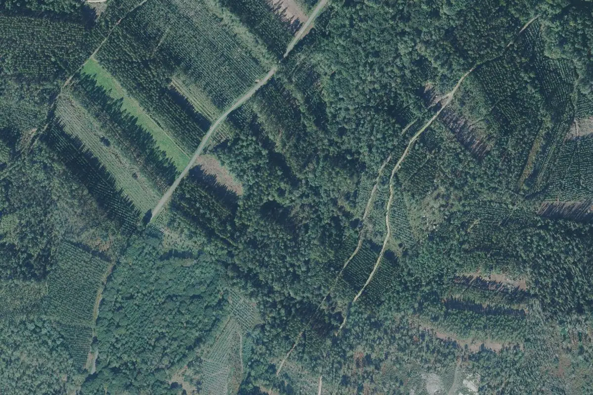Aerial photo of the Treos - Baio area