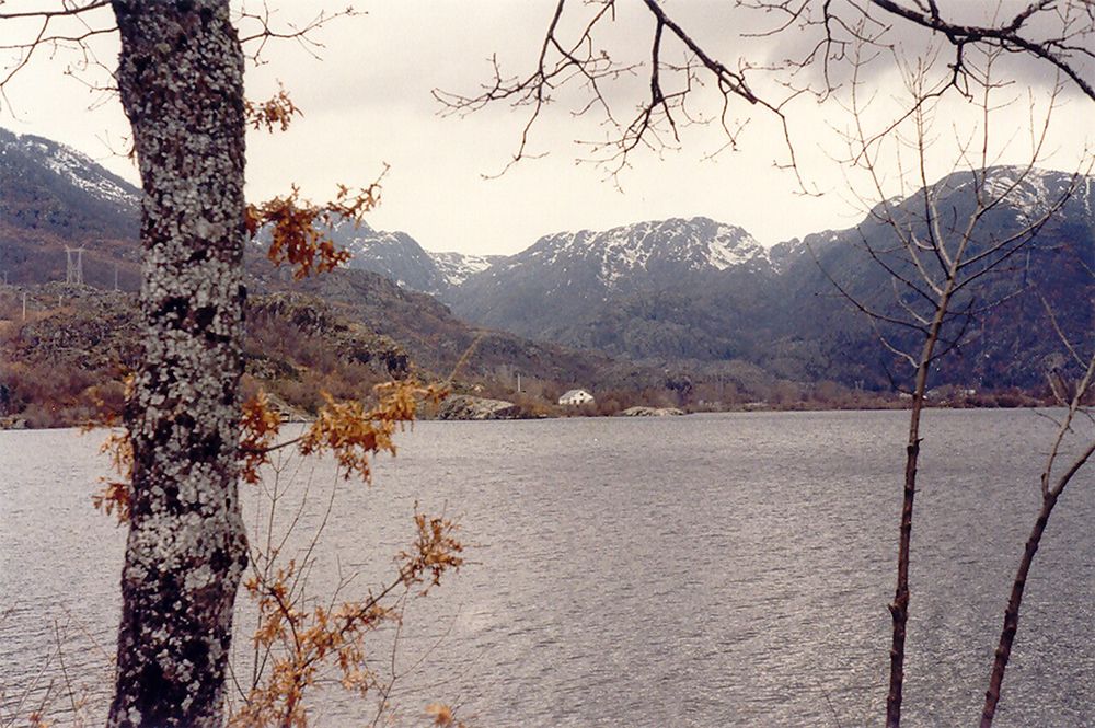 Zamora